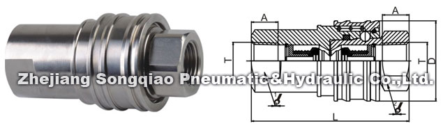 1686964426102862.jpg 16257248137804075.jpg